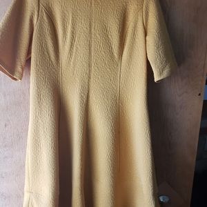 Mustard Fit and Flare